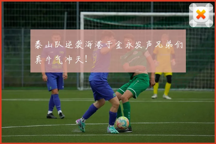 泰山队逆袭海港于金永发声兄弟们真牛气冲天！