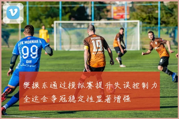 樊振东通过模拟赛提升失误控制力全运会争冠稳定性显著增强