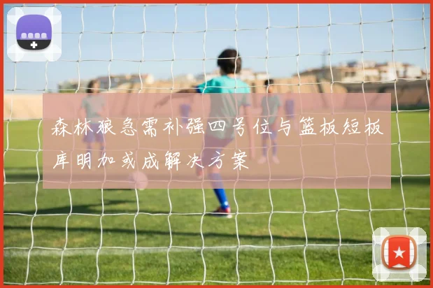 森林狼急需补强四号位与篮板短板库明加或成解决方案