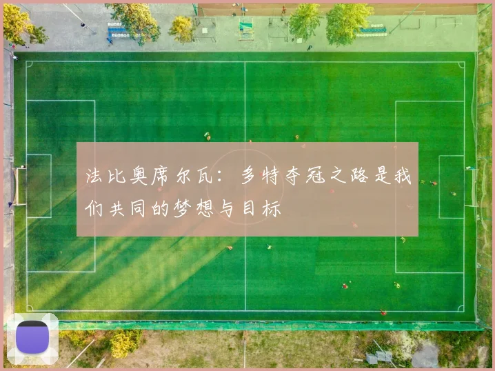 法比奥席尔瓦：多特夺冠之路是我们共同的梦想与目标